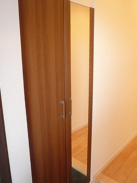 田園調布サニーハイツ　ミラー付き玄関収納です。