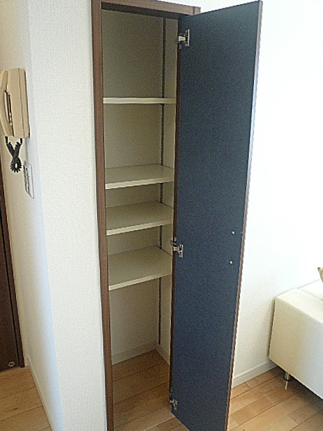 田園調布サニーハイツ　ＬＤＫ内の収納です。