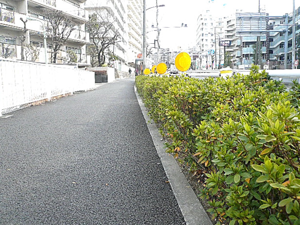 田園調布サニーハイツ　マンションまでの道のり。