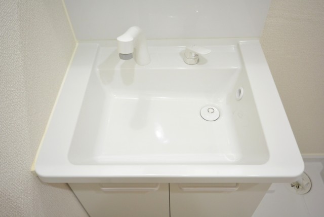 五反田サマリヤマンション 洗面室