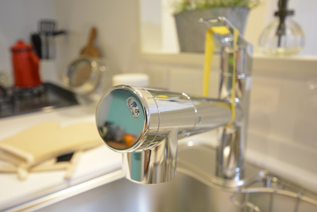 日生野沢マンション LDK