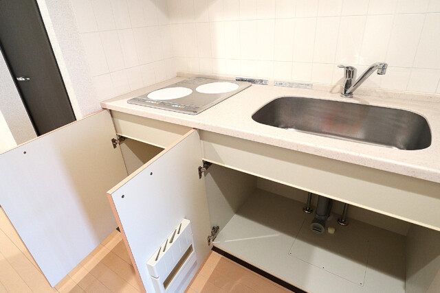 ミリオングランデ元赤坂ヒルズ (12)キッチン