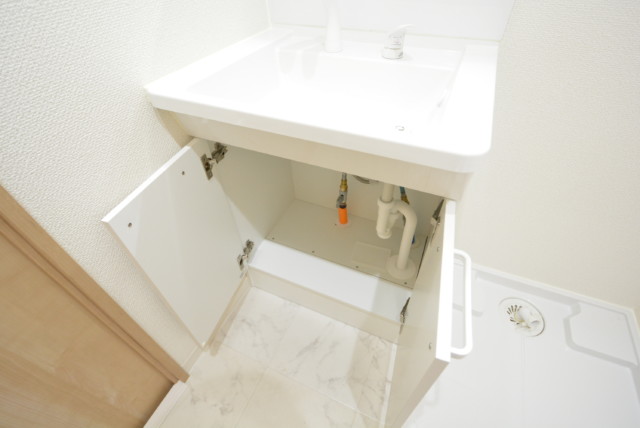 五反田サマリヤマンション 洗面室