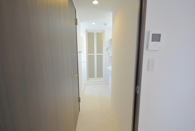 上野毛マンション 洗面