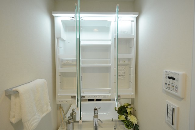 ライオンズマンション中野第 洗面