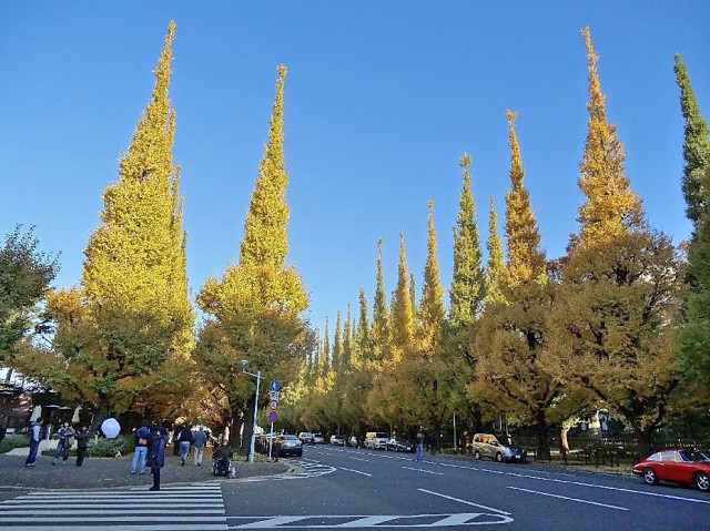 大富外苑コープ　周辺