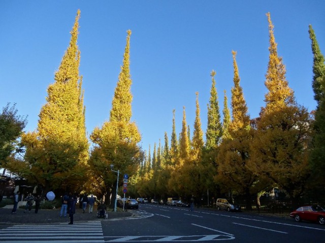 大富外苑コープ　周辺