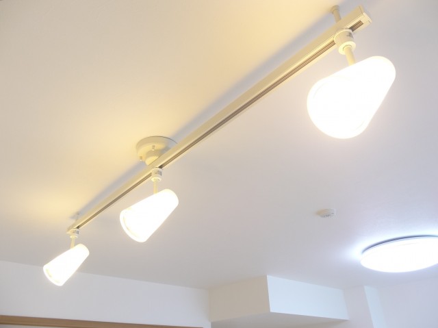 ライティングレール