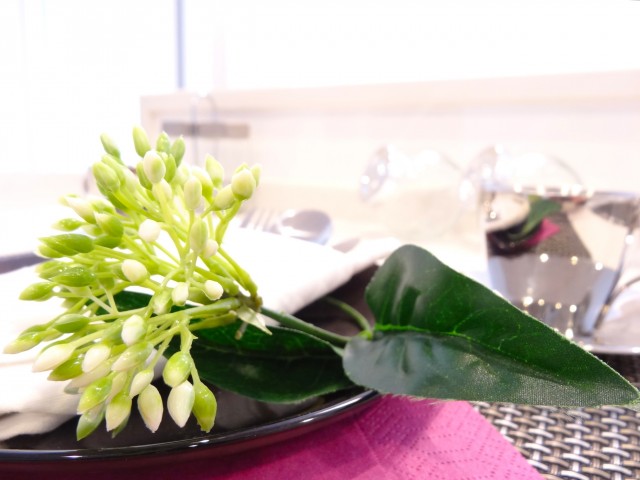 シャルマンコーポ第2芦花公園　キッチン