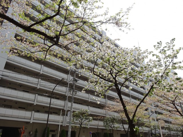 三田ナショナルコート　外観