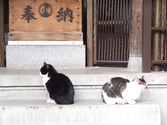 ビッグ武蔵野池袋　周辺