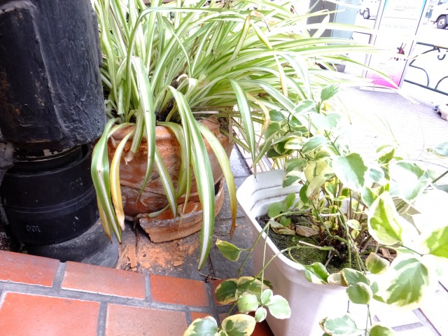 セザール目黒　エントランス