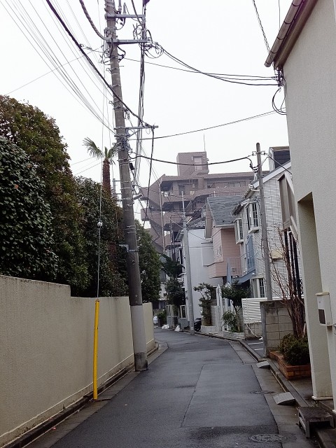 ロイヤルパレス東中野　周辺