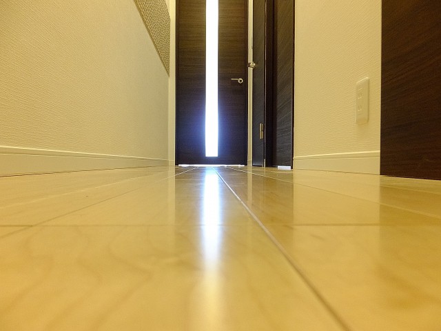 馬事公苑前ハイム2号棟　廊下1110