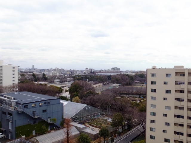 馬事公苑前ハイム2号棟　眺望1110