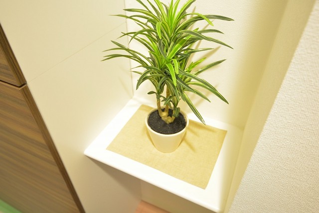 セイワパラシオン笹塚　シューズＢＯＸ横のカウンター