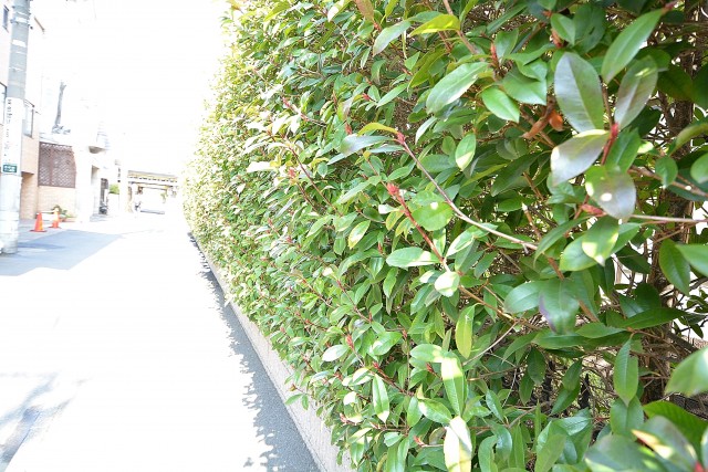 代々木コーポラス　周辺