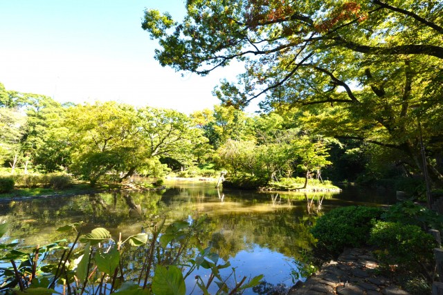 グラントレゾール広尾　周辺環境