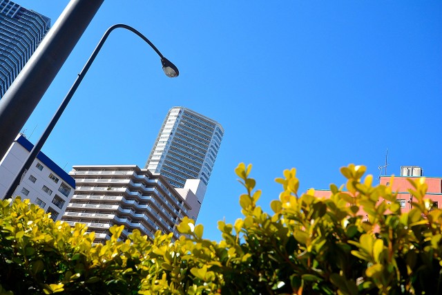 月島四丁目住宅　　周辺