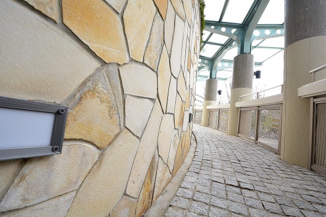 幡ヶ谷ハイムグランシス　ポーチ