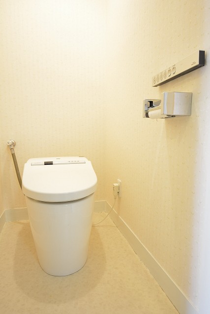 ウォシュレット付き