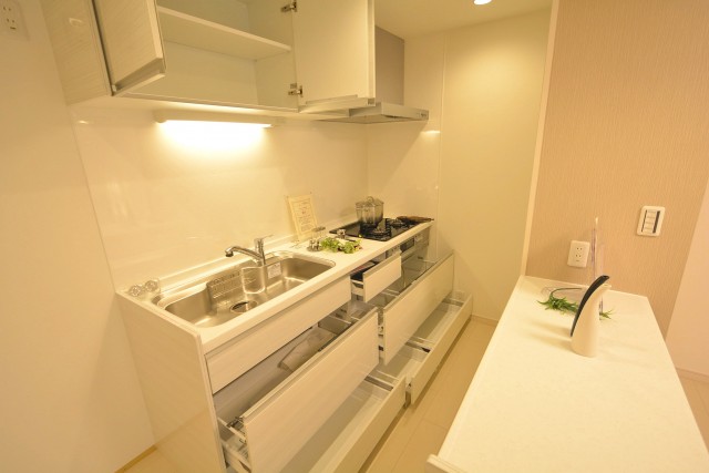 千駄ヶ谷第一スカイハイツ　キッチン収納