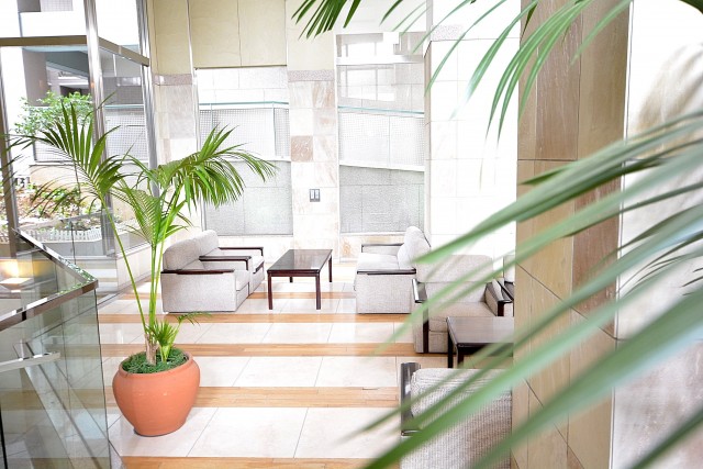 幡ヶ谷ハイムグランシス　エントランス