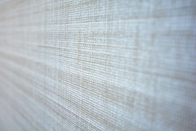 東京テラスＢ棟　洋室①