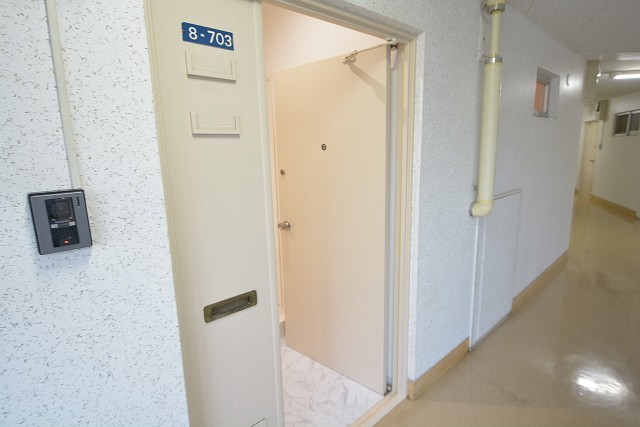 南平台アジアマンション　玄関