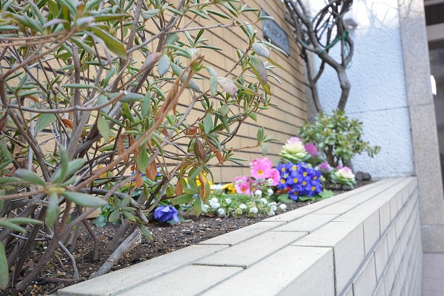 中央マンション　エントランス