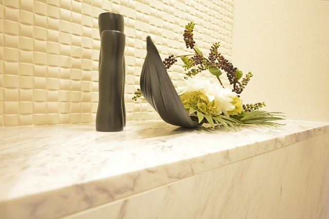 グランドメゾン幡ヶ谷　玄関脇の飾り棚