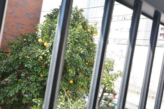 秀和幡ヶ谷レジデンス　バルコニー