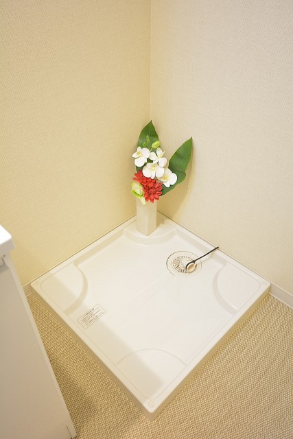 グランドメゾン幡ヶ谷　洗面化粧台のおとなりは洗濯機置場