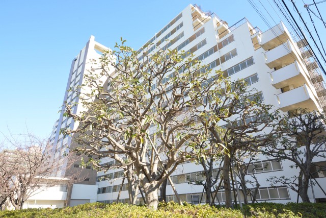 月島四丁目住宅　外観