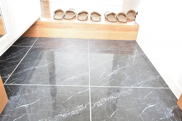 セントラルハイツ　玄関