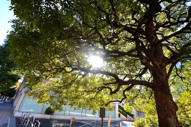 エル・アルカサル三田　周辺