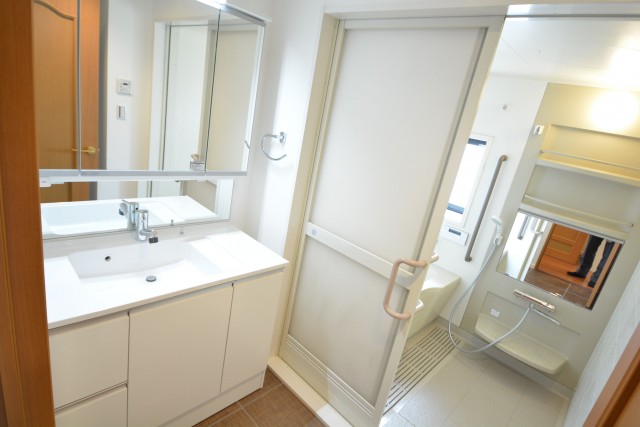 セントラルハイツ　洗面台