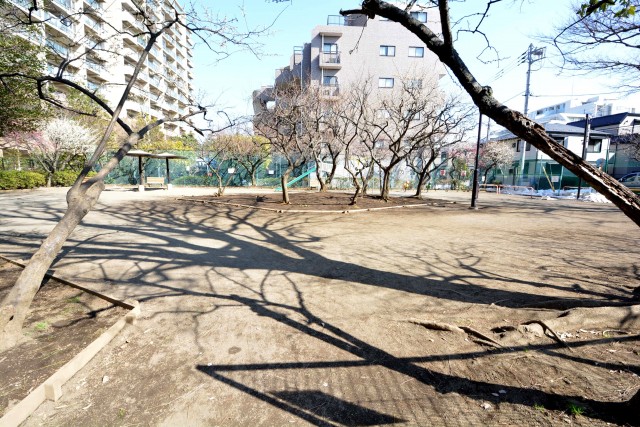 東京テラスＢ棟　周辺