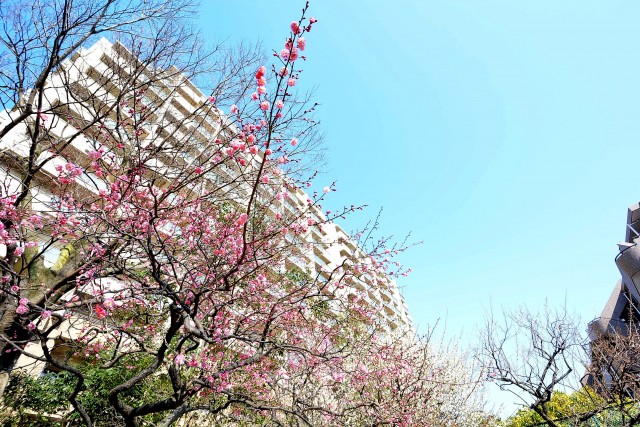 東京テラスＢ棟　周辺