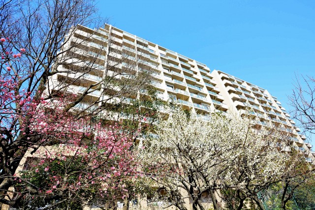 東京テラスＢ棟　周辺