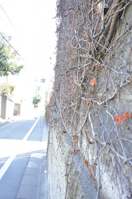 ライオンズマンション中野第２　　周辺