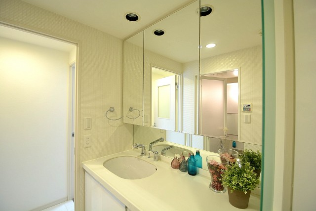 アルファニッシュ白金高輪　洗面台