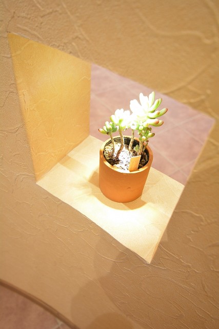 上馬ハイデンス　インテリアのディスプレイ場所に♪