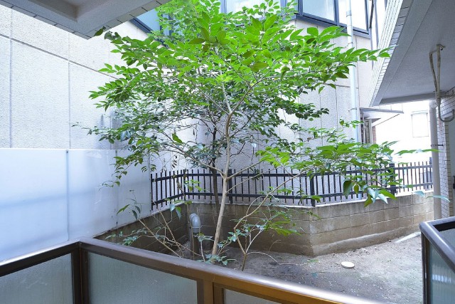 バルコニーからの眺め