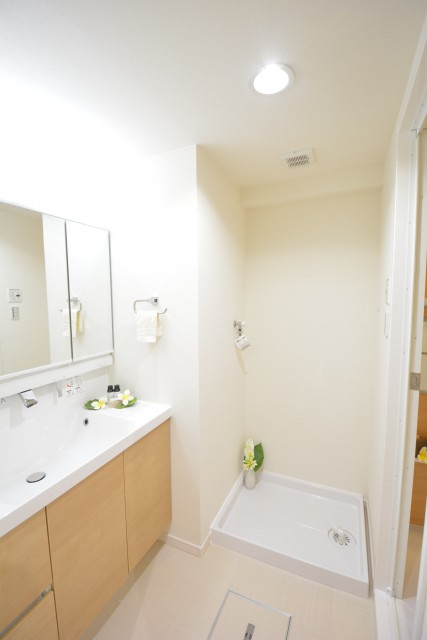 エスカイア高井戸　サニタリー