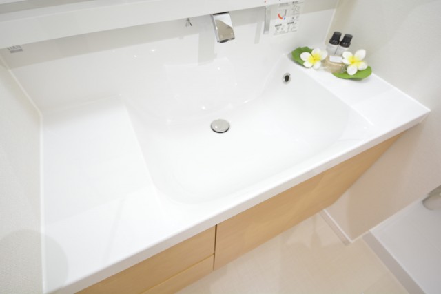 エスカイア高井戸　洗面台