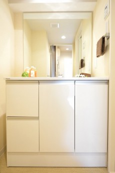 大富外苑コープ　洗面化粧台