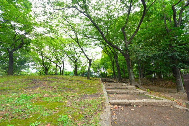 世田谷船橋パーク・ホームズ　周辺環境