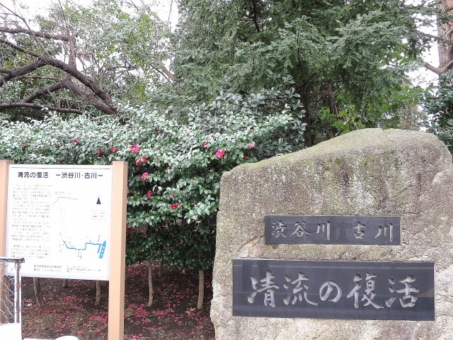 グラントレゾール広尾　渋谷川