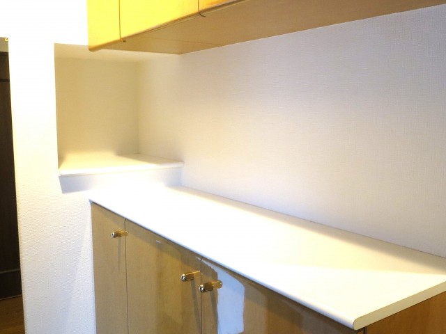 パークステージ茅場町　カウンタータイプのシューズBOX